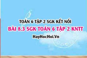 Bài 8.3 SGK Toán 6 tập 2 Kết nối tri thức